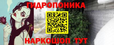 крисы Пыть-Ях