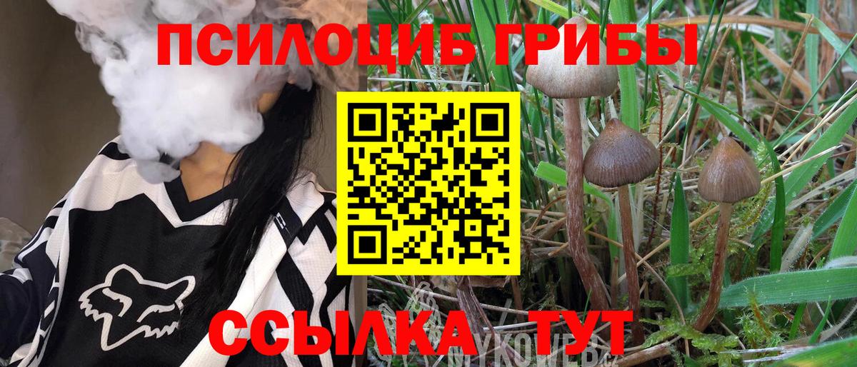 Псилоцибиновые грибы MAGIC MUSHROOMS Туапсе