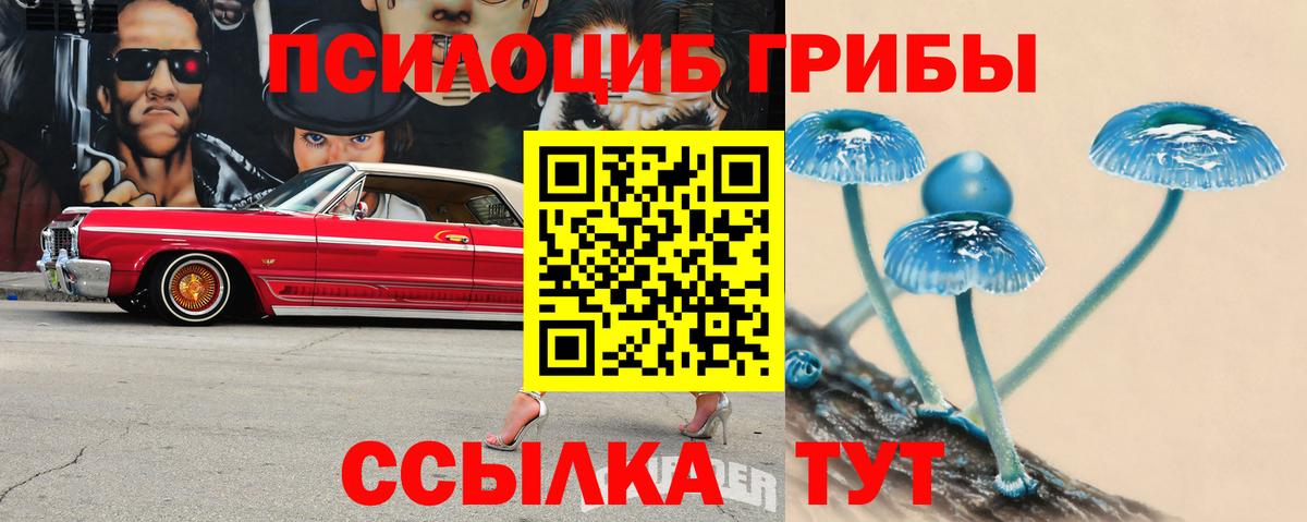 Галлюциногенные грибы мицелий  Вход с VPN  Псилоцибиновые грибы ЛСД  Туапсе 